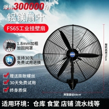 fs65-鋁鎂扇葉-掛壁扇工業(yè)電風(fēng)扇強(qiáng)力落地扇大風(fēng)量牛角扇商用機(jī)械大功率車間工廠壁掛扇